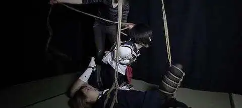 西檬之家-PE是什么意思？BDSM权力交换的权威指南