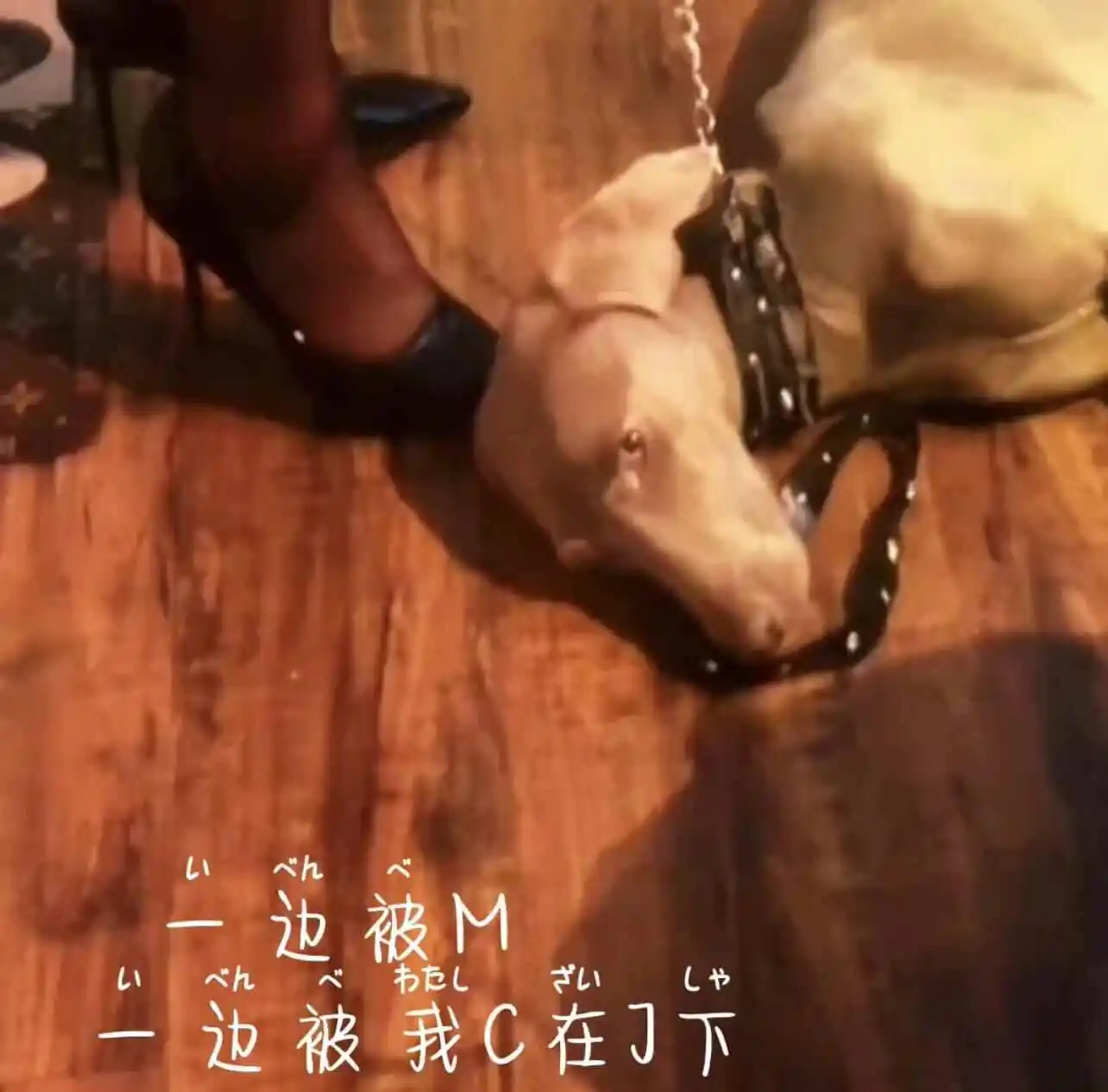 西檬之家-斯慕圈权威指南：BDSM核心术语与入圈必知