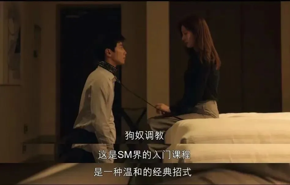 西檬之家-斯慕圈新人入门指南：读懂BDSM的核心术语与原则