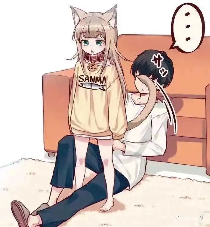 西檬之家-k8猫系BDSM新人入圈指南（含术语解释）