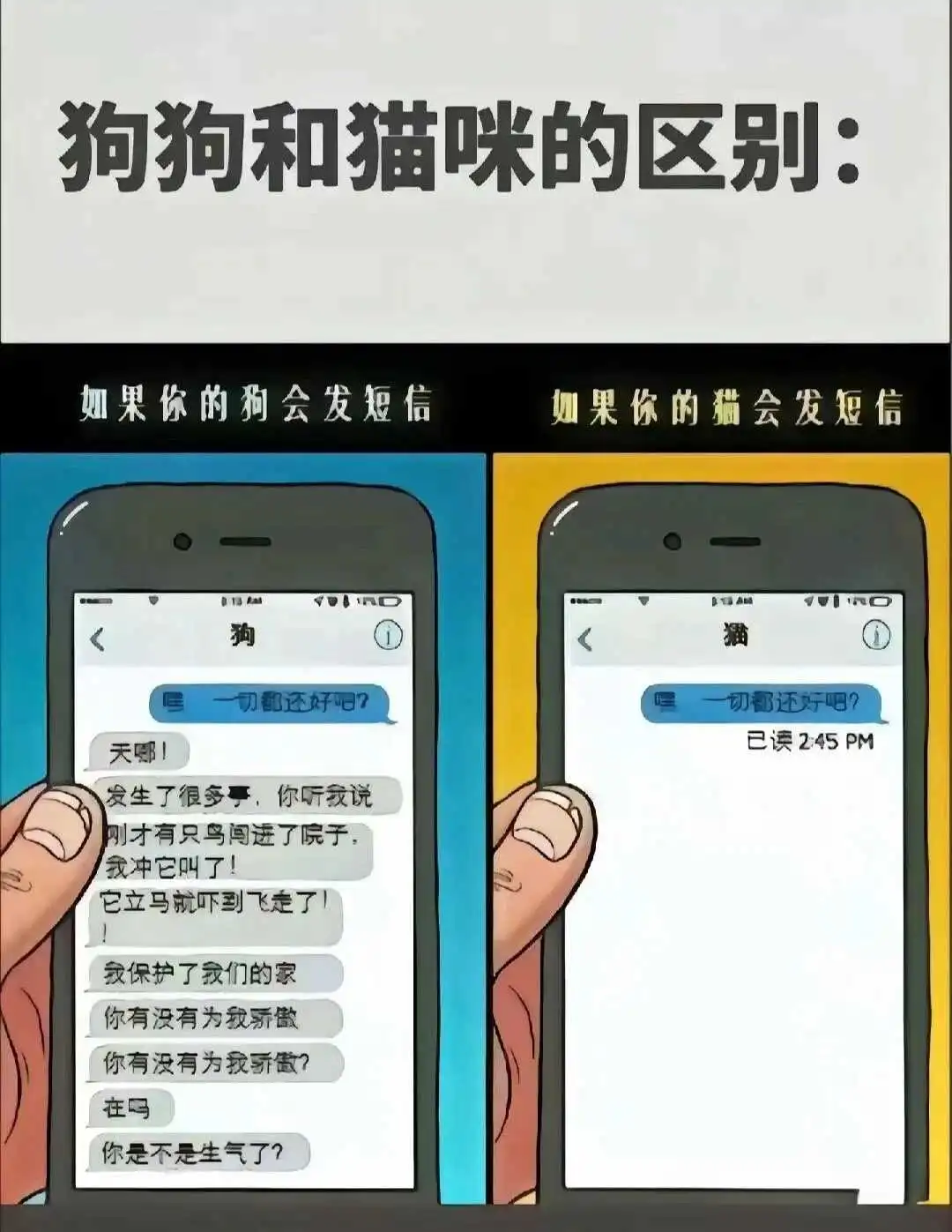 西檬之家-DS关系是什么？字母圈新人入圈指南