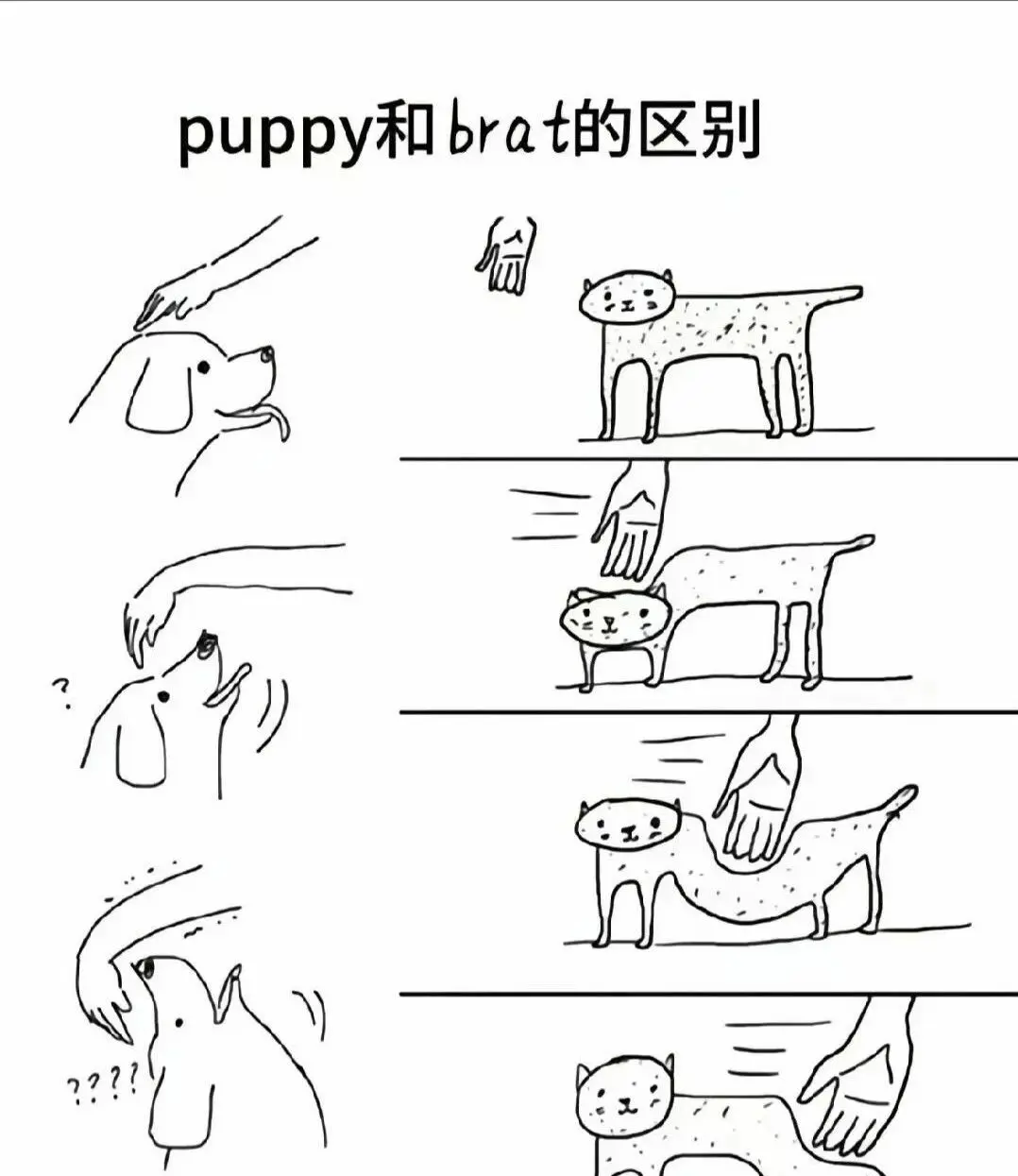 西檬之家-字母圈大圈是什么意思？