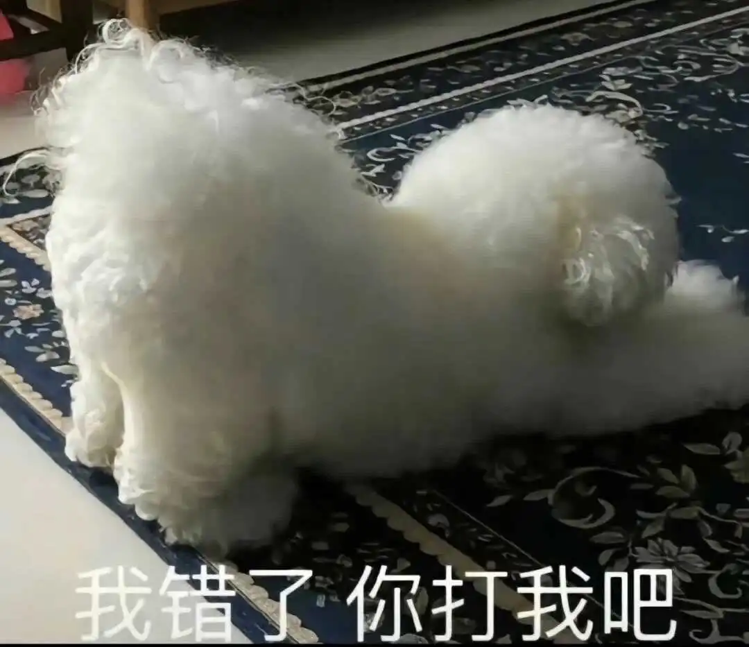【西檬之家】字母圈的践踏癖是什么意思？
