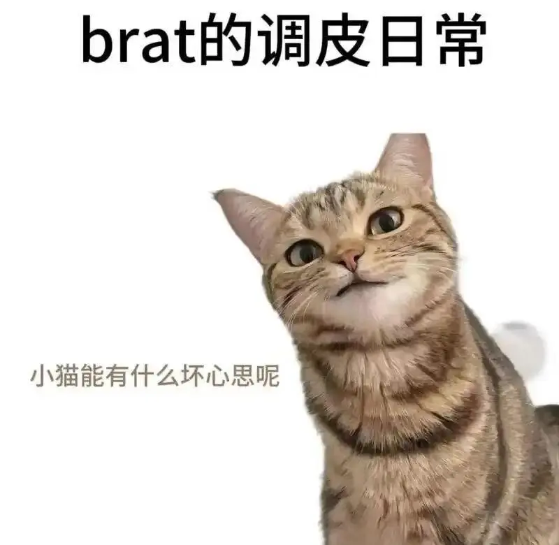 西檬之家-字母圈的DOM是什么意思？