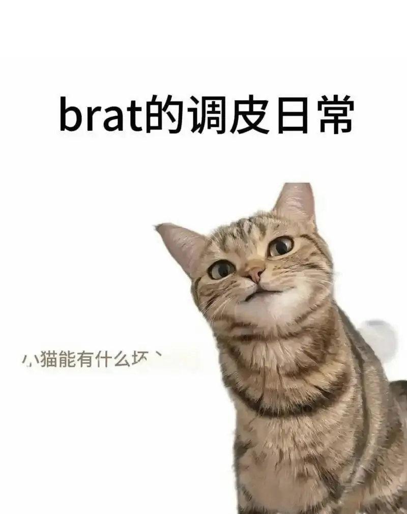西檬之家-BDSM字母圈K8猫系角色扮演入门指南