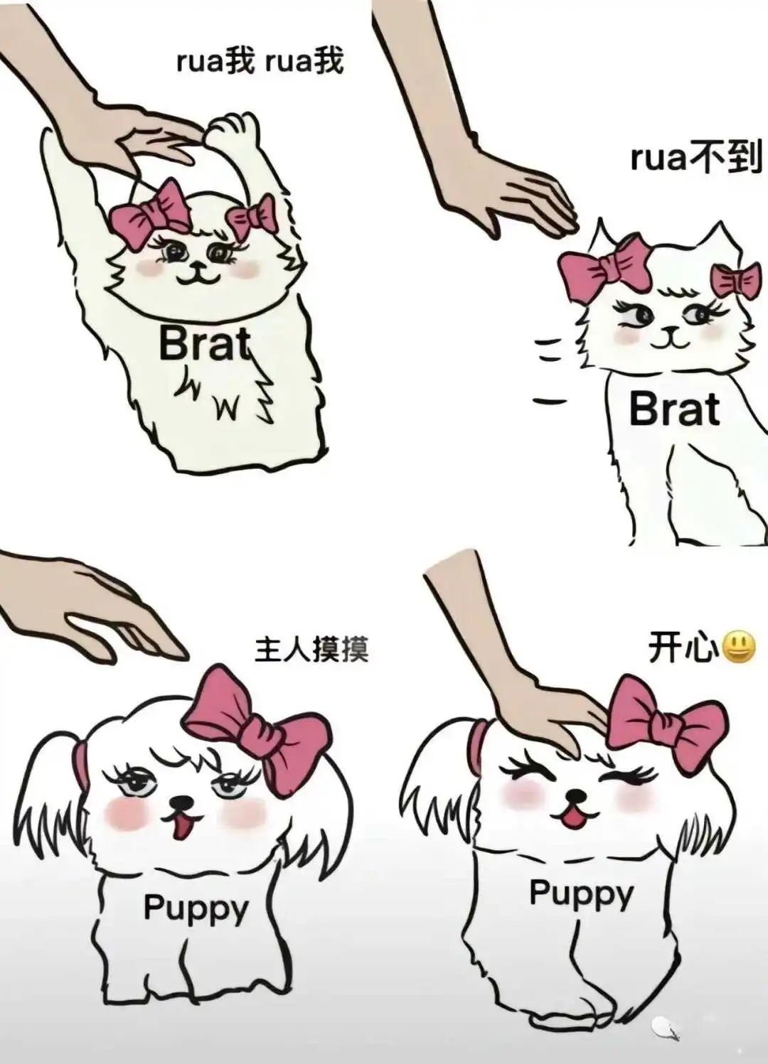 西檬之家-字母圈的新人如何顺利入圈？