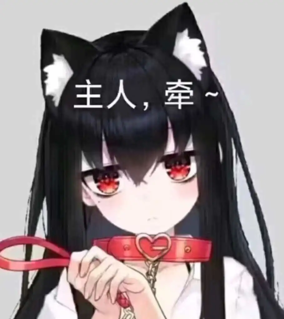 【西檬之家】K8是什么？字母圈新人必知的猫系属性