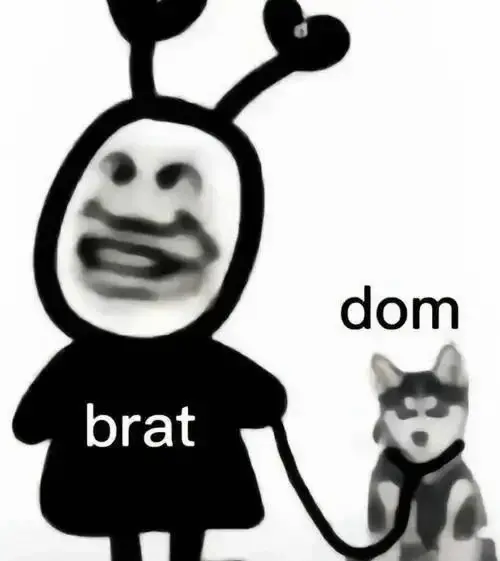 BDSM：实用指南